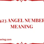423 Angel Number Meaning
