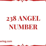 238 Angel Number