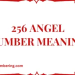 256 Angel Number Meaning