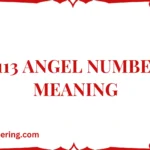 3113 Angel Number Meaning