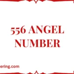 556 Angel Number