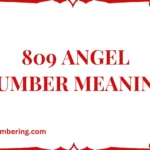 809 Angel Number Meaning