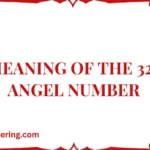 Meaning of the 320 Angel Number