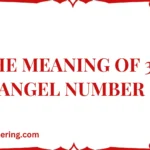 The Meaning of 339 Angel Number
