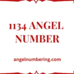 1134 Angel Number Meaning: A Sign of Alignment, Growth, and Purpose