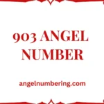 903 Angel Number Meaning: Unlocking Creativity, Success & Transformation